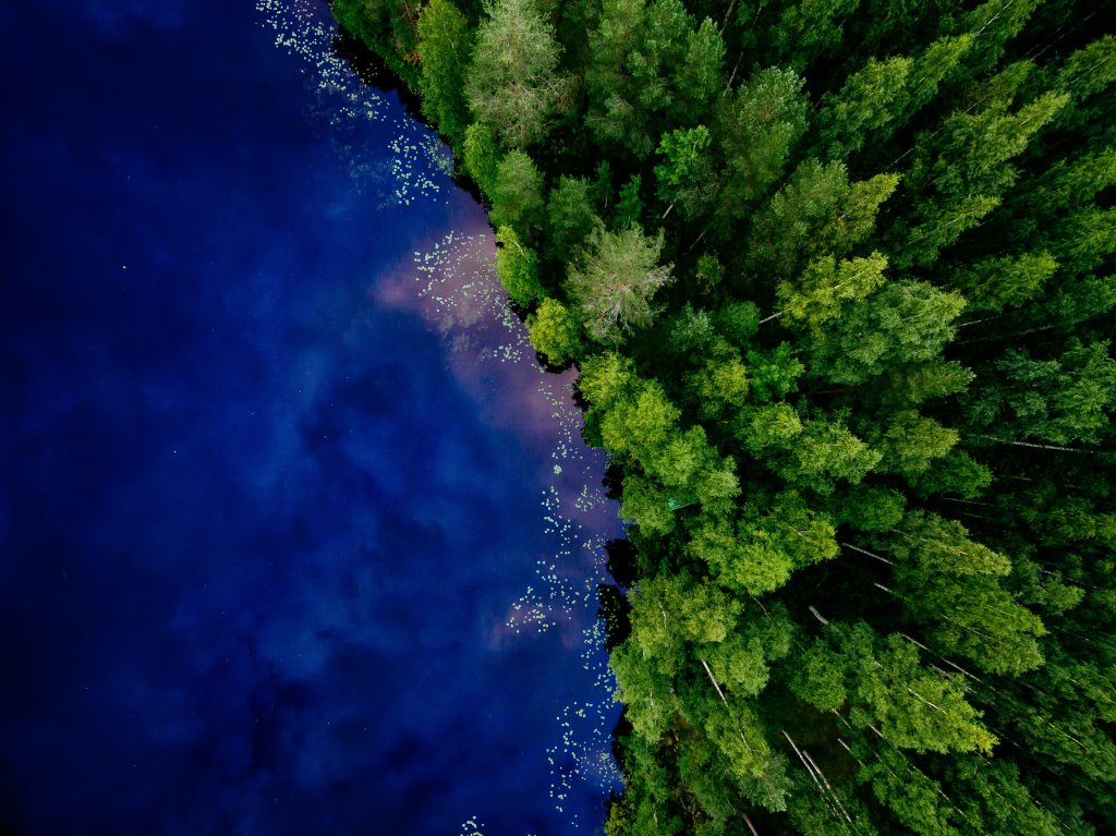 SSFA’s Natural Capital & Biodiversity (NCB) Workstream Launches White Paper to Guide Financial Institutions on Nature Financing