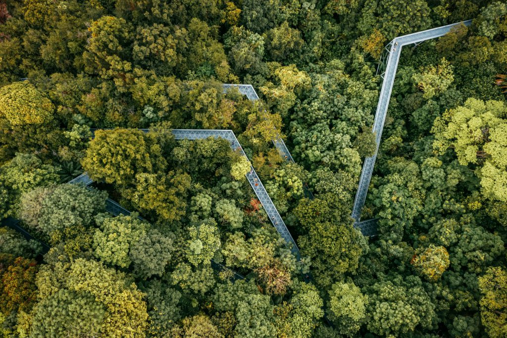 SSFA’s Taxonomy Workstream Releases Additional Guidance to Further Application of the Singapore-Asia Taxonomy in Green and Transition Financing